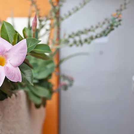 Al Volo Nocleg ze śniadaniem