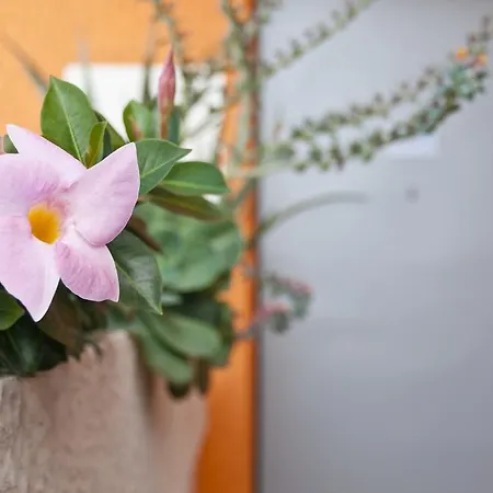 Nocleg ze śniadaniem Al Volo