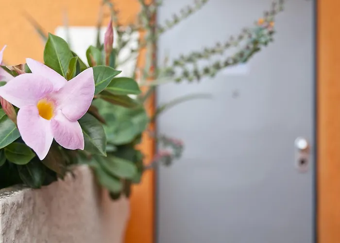 Al Volo Bed and Breakfast