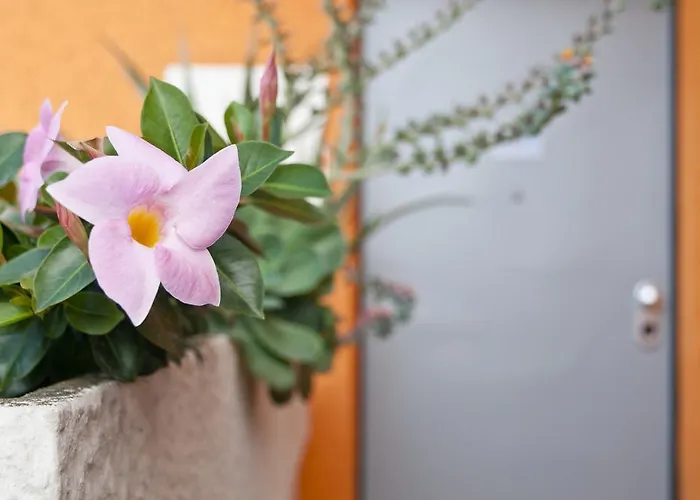 Bed and Breakfast Al Volo